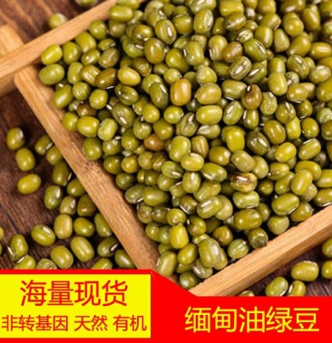 缅甸绿豆,大产区优质明绿豆,抛光筛选3.0-4.