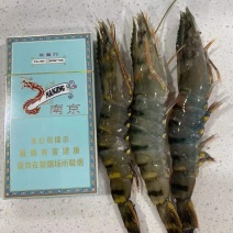 26出山东长期稳定货源泰国黑虎虾，一盒16只