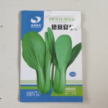 德赛夏至青梗菜种子耐热耐湿抗病高产高温不拔节