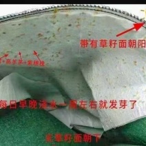 生态袋土工布袋