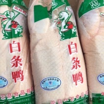 新鲜冷冻鸭子烧鸭专用大白条鸭生鸭肉卤水鸭4.6斤*一件6