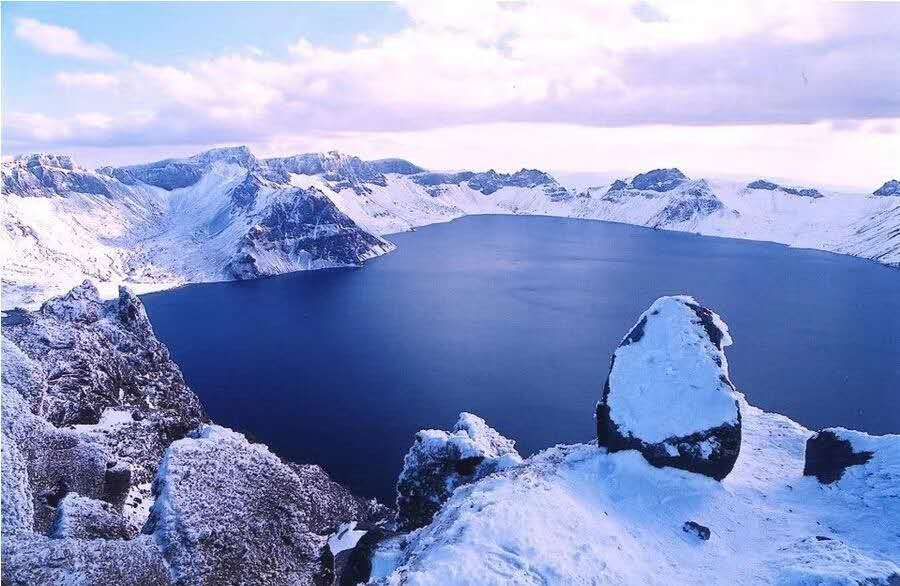 长白山原始森林中的野山参生长环境