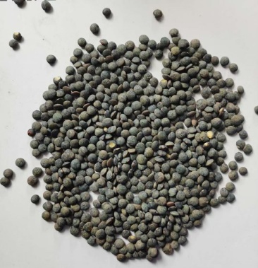 [扁豆批发]黑扁豆价格3.60元/斤 - 一亩田