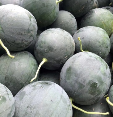 墨瞳西瓜又称无籽西瓜包熟包甜包质量产地货源充足