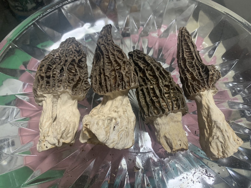 野生菌煸炒出水过程展示