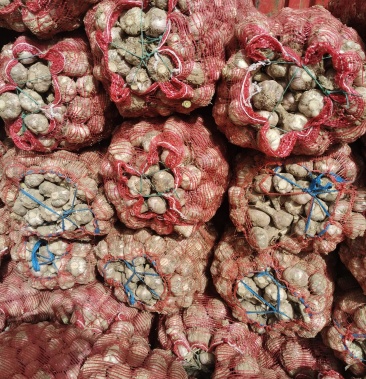 [大蒜批发]优质鲜蒜大量上市,产地直供,货源充足,代发全国!价格1.