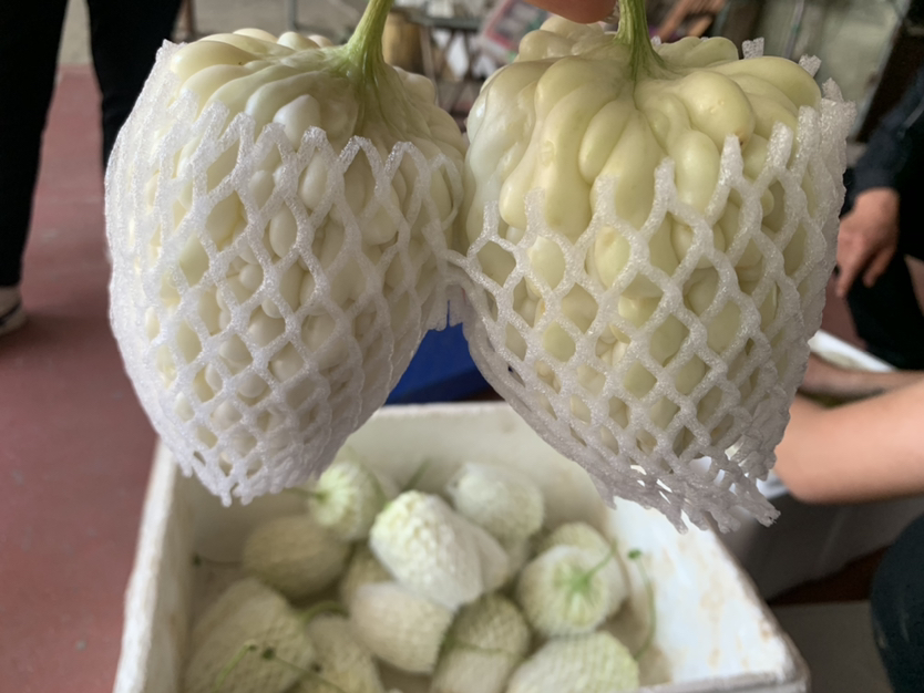 用小刀仔细刮除苦瓜内壁残留白瓤 用小刀仔细刮除苦瓜内壁残留白瓤
