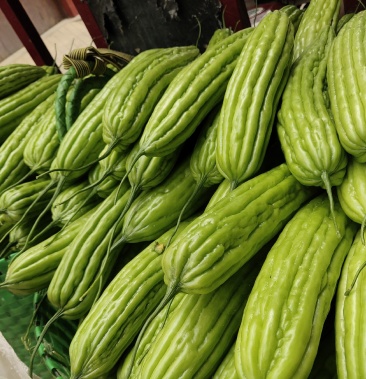 油苦瓜通货,高峰期中0.9元1斤,欢迎全国各地老板来订购