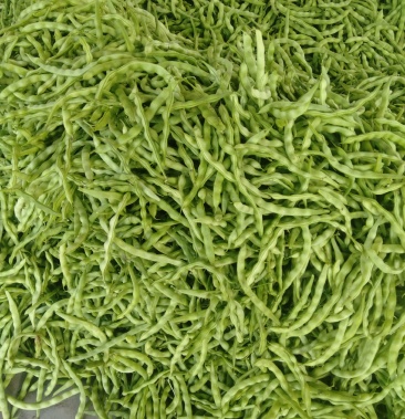 大青豆优质大青豆