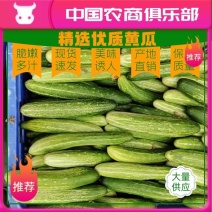 黄瓜22~25公分鲜花带刺一手货源产地直供！