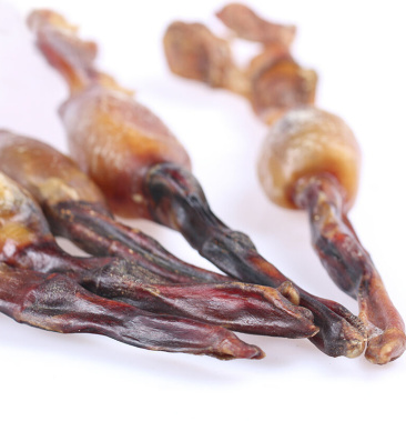 中药材黄狗鞭黄狗肾泡酒鞭新鲜干鞭黄狗鞭