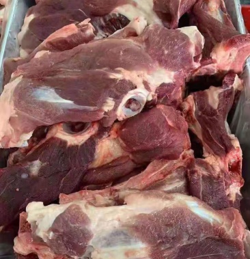 母猪尾叉骨新货新开检疫需要的速度