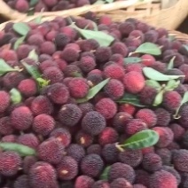 石屏荸荠杨梅
