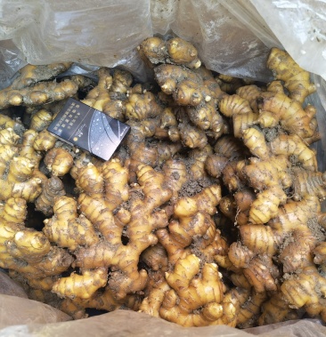 贵州二黄姜,欢迎各大商人来人来电洽谈,质量保证与图片相符