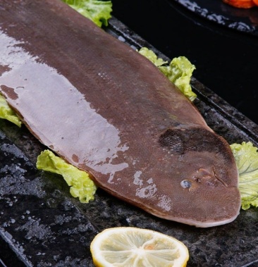 龙利鱼舌头鱼踏板鱼牛舌鱼目鱼老板鱼弯弯鱼新鲜