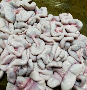 猪肠中生肠加工厂亮货零售