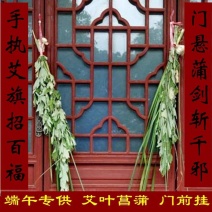 端午节艾草加菖蒲