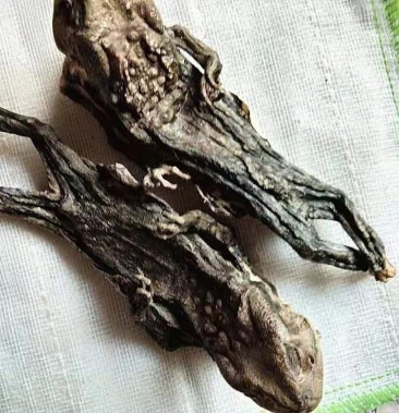 [药用蟾蜍批发]蟾蜍干中药材干蟾蜍癞蛤蟆蛤蟆干100g包邮另售蟾衣蟾蜍