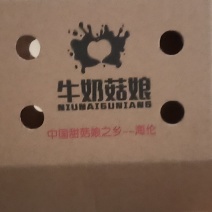 纸箱包装