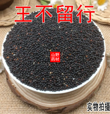 云南野生中药材王不留行 下奶 另售通草 500g包邮