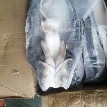 特级巴沙鱼批发整箱无冰干冻整条湄公鱼烤鱼批发