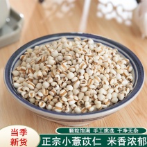 中药材新货薏米仁贵州小薏苡仁薏米仁正品薏米500克