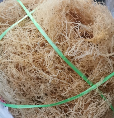 纯清水龙须菜细条泡发率好凉菜选择每包17斤