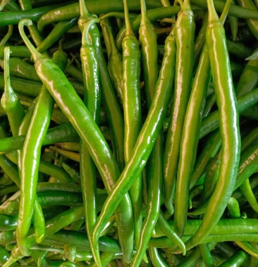 物流整车·其他;按斤收费;运费买家自理规格通货,20公分以上,精品货0