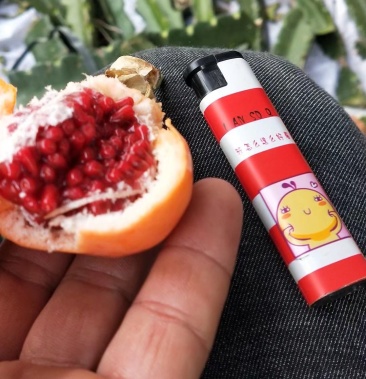 蓝冠百香果正品嫁接苗插杆苗包结果包邮