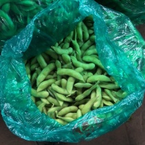 淮安当地毛豆有需要的可以联系我扁豆，茶豆，四季豆均有货
