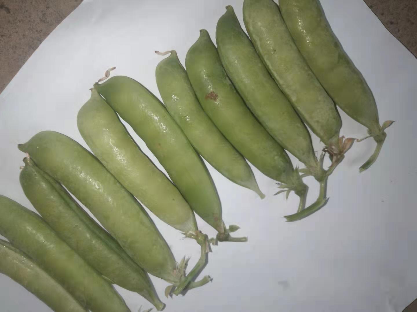 青豌豆凉拌做法