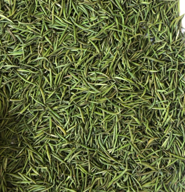 雀舌茶 四川茶叶 竹叶青 四川竹叶青茶 茶叶包邮