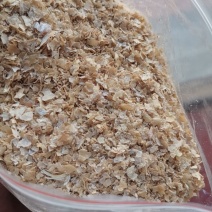 麸皮有货