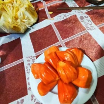泰国8号12号红肉菠萝蜜苗正品菠萝蜜苗技术指导包邮