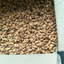 批发生果【进口巴旦木仁】生杏仁适用于做药用材料和各项食品