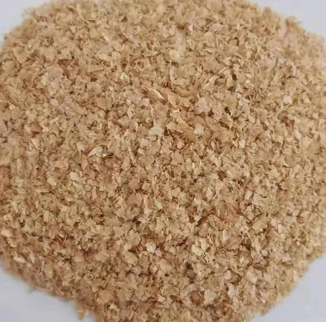 现代化小麦加工车间内景：全自动色选机分选济麦22麦粒，输送带上的麦粒晶莹饱满，背景可见“济麦22专用加工线”标识牌