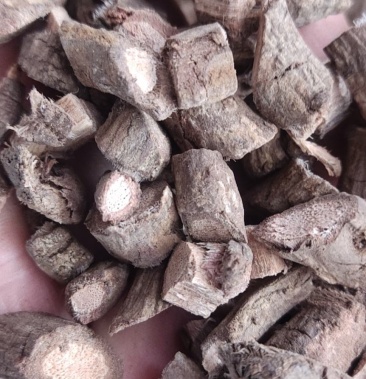 无硫黑老虎根钻骨风冷饭团根钻山风新货真货阴枝