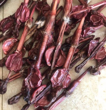 吉林梅花鹿鹿场直发 干鹿鞭泡酒煲汤男士滋补