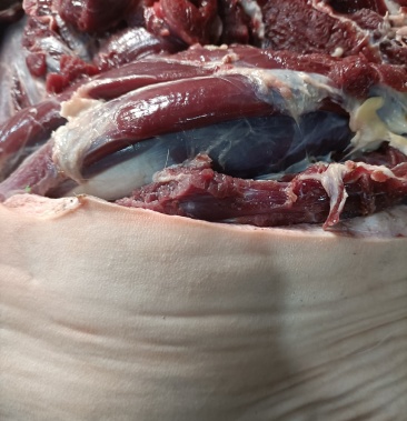 梅花鹿鹿皮楠带皮梅花鹿肉新鲜带皮梅花鹿肉鹿皮楠