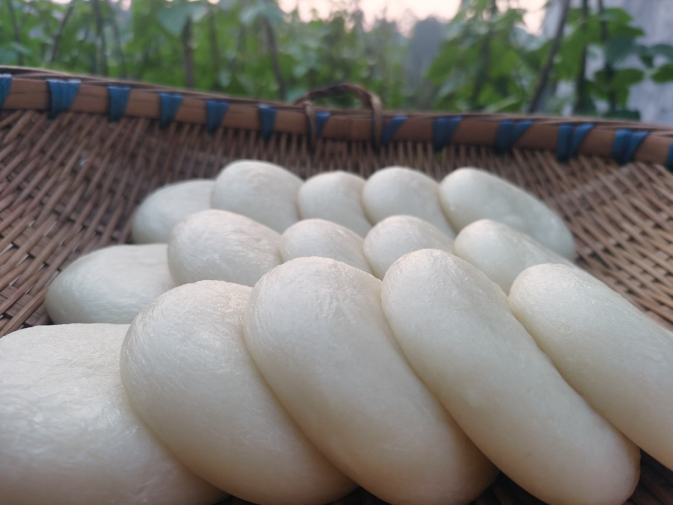 蒸制中的糯米糊