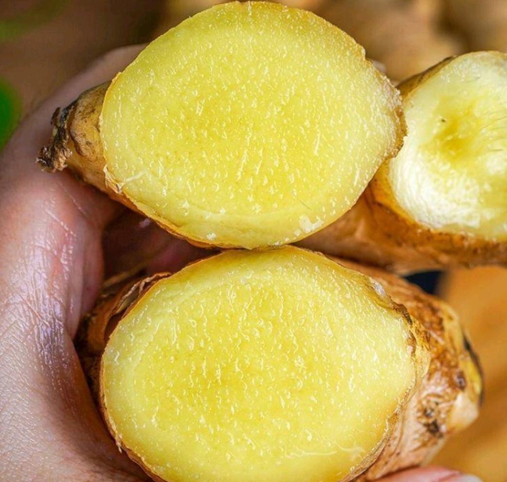 生姜的横切面展示其内部结构