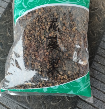 龙葵子 龙葵籽 龙葵果正品保证质量 中药材批发 丽丽药业