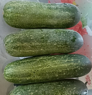 [黄瓜批发]粉瓜价格1.00元/斤 - 一亩田