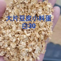 豆皮小料蛋白30适合牛养猪鸡鸭鹅，大量供应各种下脚料