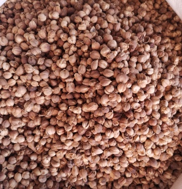 [豆蔻批发]白豆蔻 草豆蔻 肉豆蔻价格140.00元/斤 - 一亩田