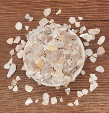 中药材珍珠母粉珍珠母真珠母明珠母另有珍珠粉