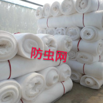 厂家直销厚款60目防虫网，厂家直销，大量现货供应，