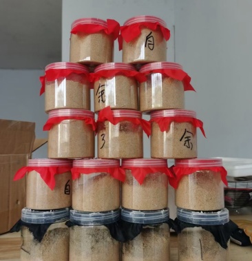 专业供应黑水虻虫卵1元买虫卵教技术保量