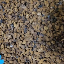 桦树茸颗粒精选颗粒，无杂质