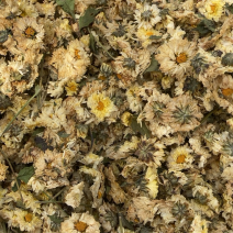 菊花，各种菊花，专业打粉20年有什么需要请私聊
